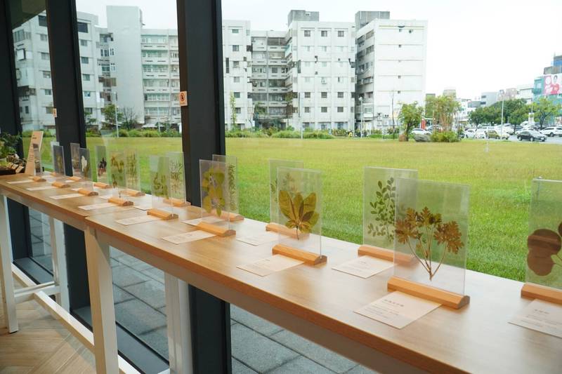 台東香草圖書館開展　縣府邀您隨著香氣閱讀自己 讓香草讀懂你的生活