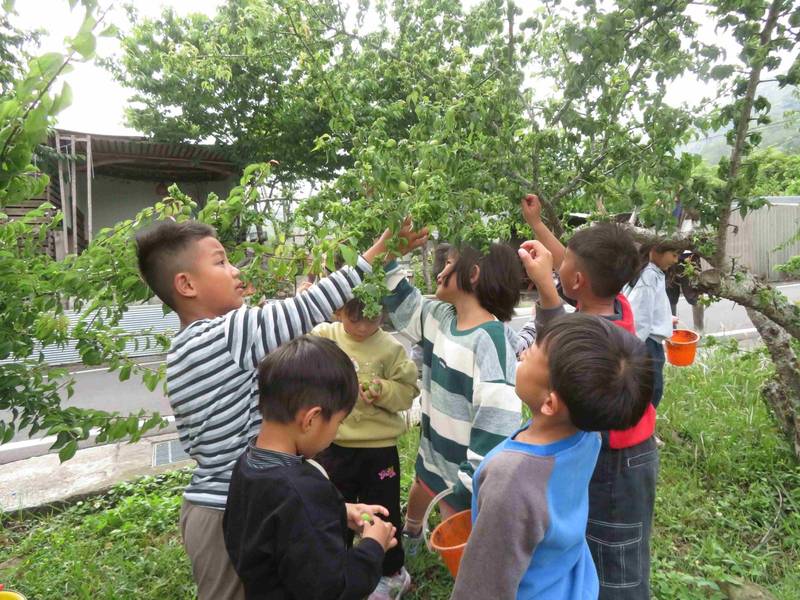 幼兒園營造學習新日常 本土語言融入教保活動課程