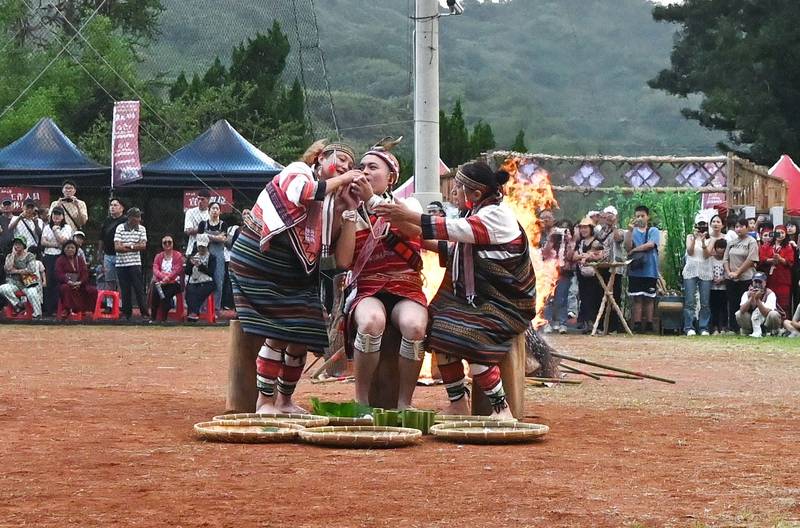 泰安鄉115年泰雅文化祭儀登場 八村族人齊聚展現泰雅文化生命力與部落風情