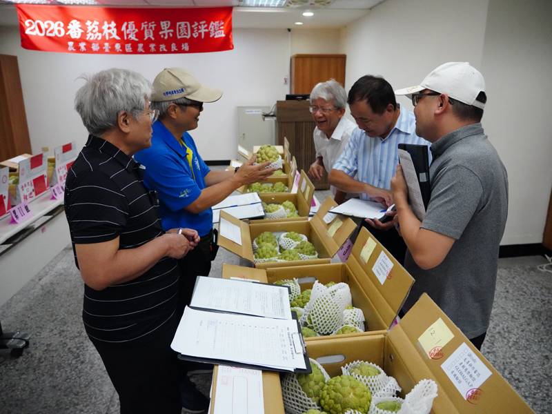2026臺東番荔枝優質果園評鑑揭曉 頂級果品中秋送禮首選