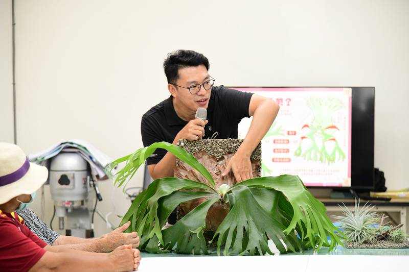 手作植生板與無菌植物瓶療癒身心 臺東農改場協力長濱鄉農會推動綠色照顧