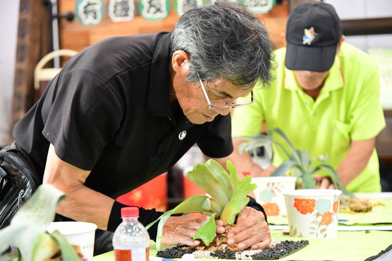 手作植生板與無菌植物瓶療癒身心 臺東農改場協力長濱鄉農會推動綠色照顧