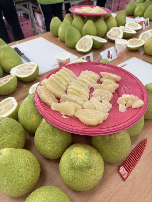 115年花蓮縣文旦柚評鑑結果出爐 金牌楊道宇、呂恩旭、黃振東脫穎而出