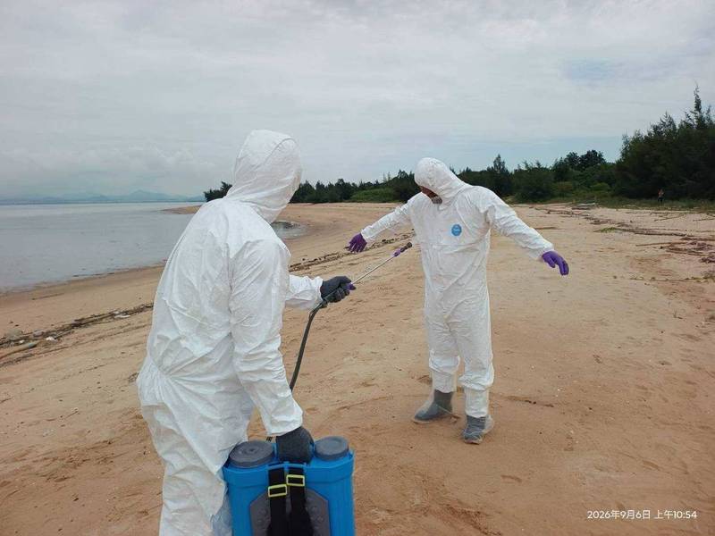 金門今年第4例海漂豬檢出非洲豬瘟病毒核酸陽性 跨部會加強中秋邊境查驗