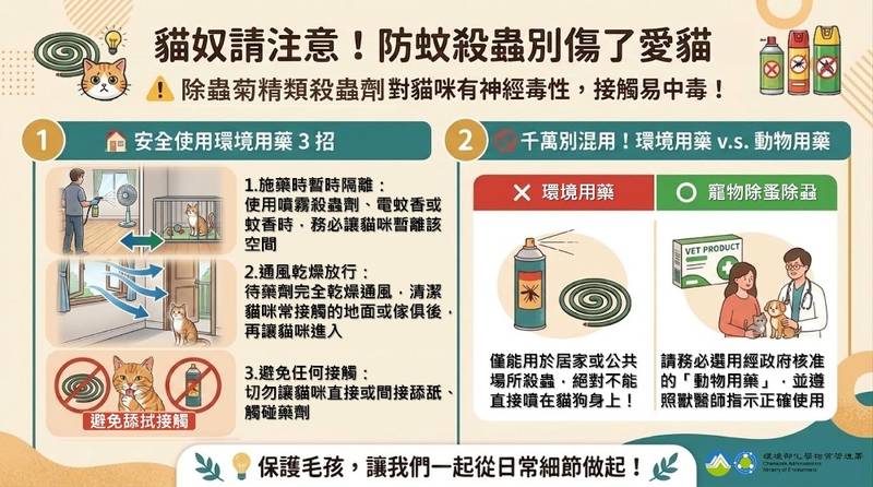 防範貓咪中毒,化學署籲飼主謹慎使用除蟲菊精類環境用藥,並增列安全警語
