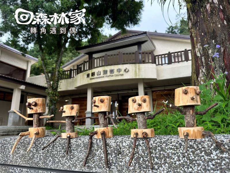 東眼山回森林家 在林間轉角遇見偶