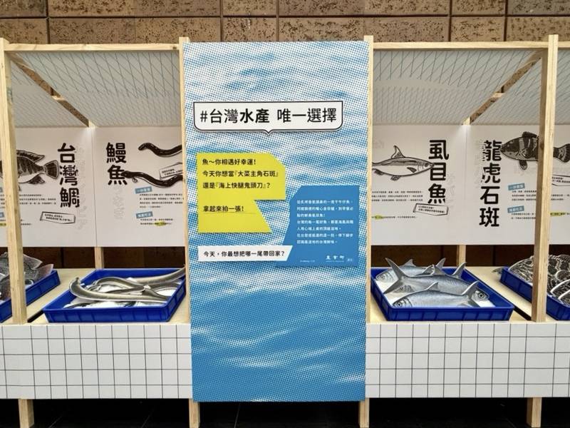 台灣好魚游進北車大廳 農業部攜手人氣插畫家cherng打造「貘魚廣場」