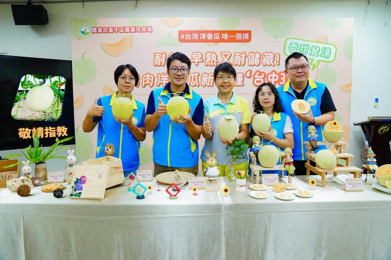 耐熱、早熟又耐儲藏!橘肉洋香瓜新品種「台中3號」香甜登場