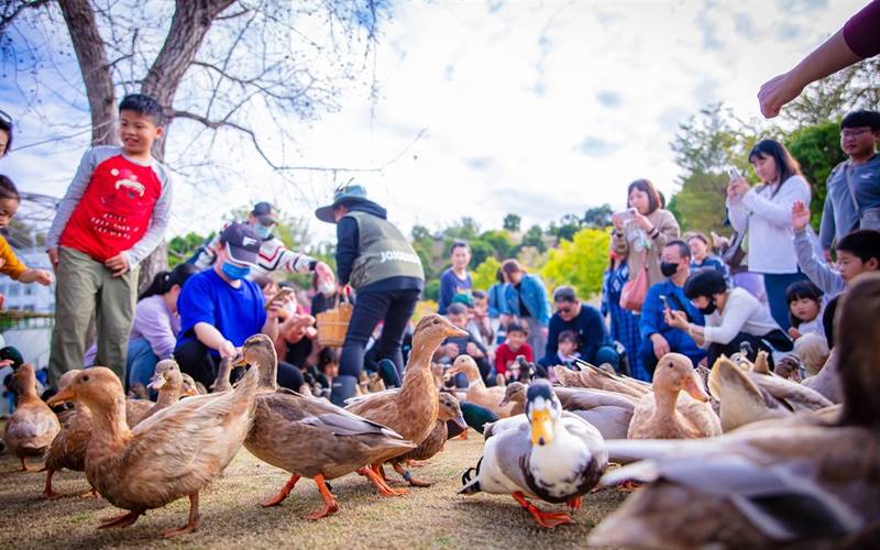 九月連假來樂園! 18家主題樂園推驚喜優惠