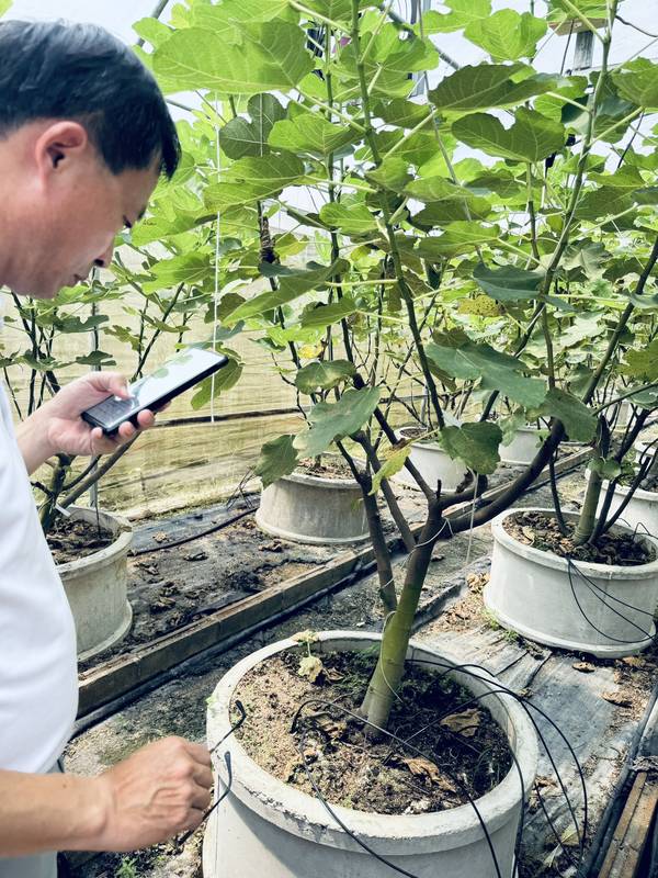 臺泰AI智慧農業交流凝聚五大共識 推動技術落地與產業對接