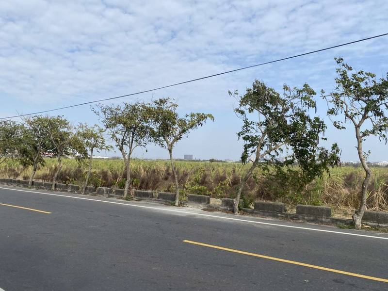 南亞科設廠案 張麗善籲中央說明真正考量 雲縣府:虎尾產業園區7度送審卡關 中央雙標?