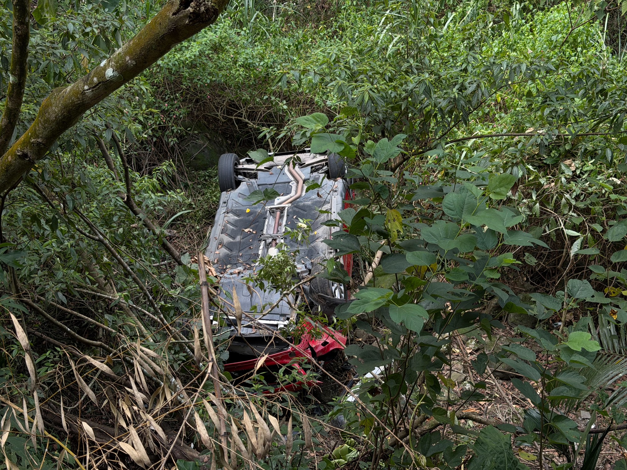 翻覆車輛卡在邊坡樹叢間