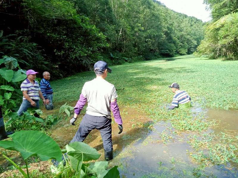 116年社區林業計畫開跑 邀社區共創綠色永續未來