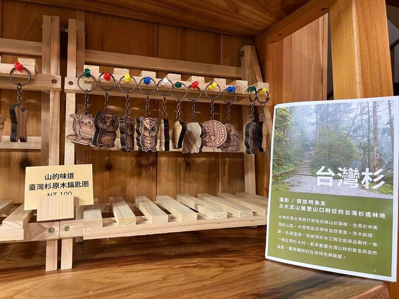 秋日走進屏東林業服務小棧　從國產材、猛禽藝術到野望影展感受森林的不同面貌