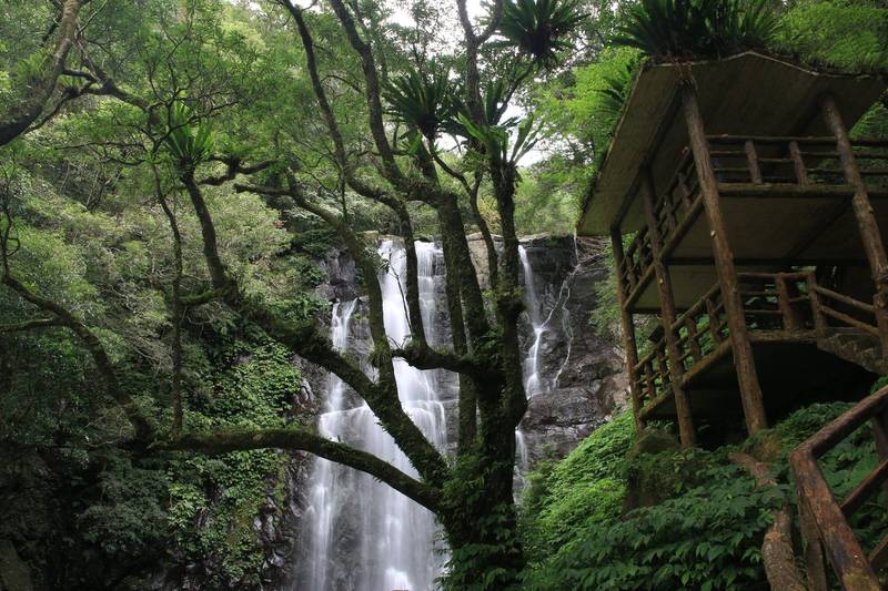 雙十連假森呼吸 13處國家森林遊樂區入園半票賞秋趣
