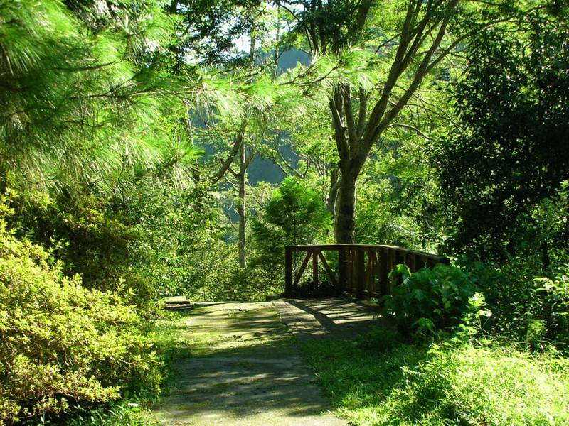 雙十連假森呼吸 13處國家森林遊樂區入園半票賞秋趣