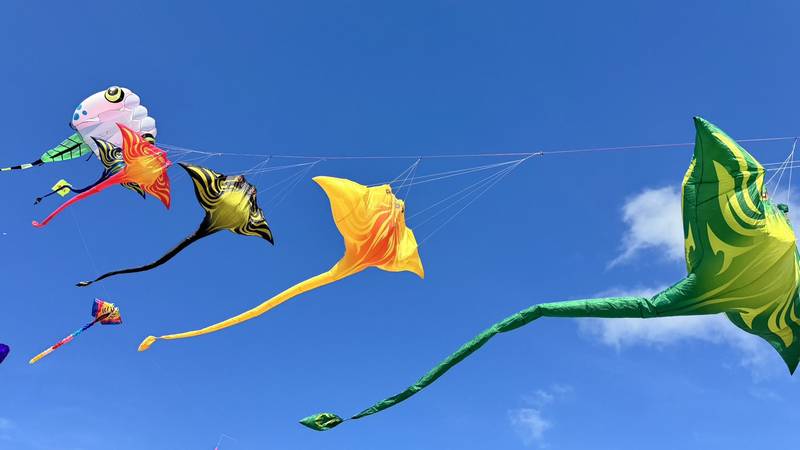 菜奇鴨風箏首飛!「臺灣味×臺南甜」曾文風箏嘉年華雙十連假登場