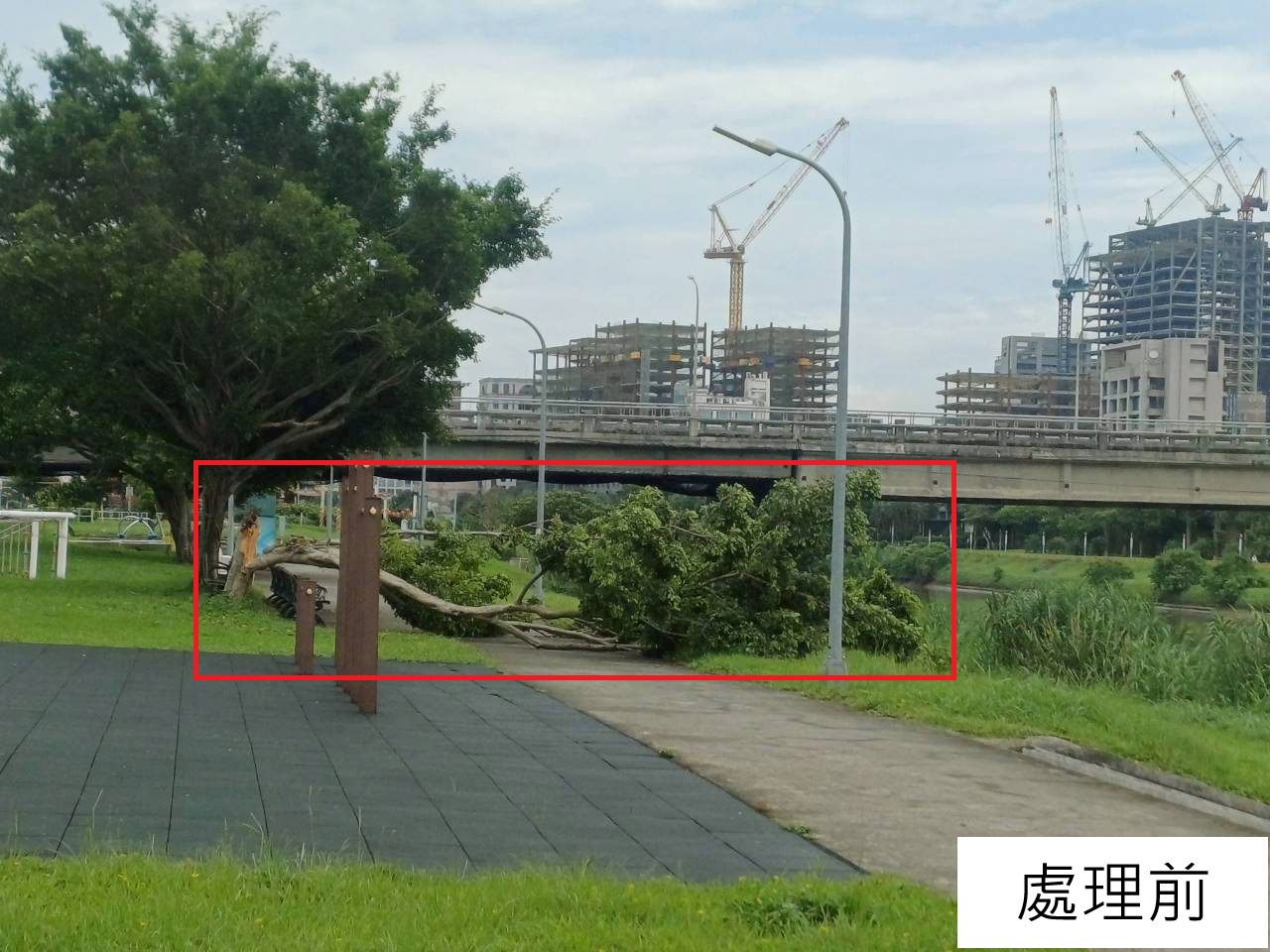 巴威颱風造成成美右岸河濱公園樹幹斷裂移除說明