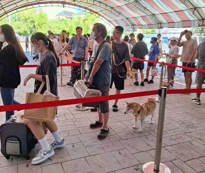 竹縣「毛齊來打」宣導活動國慶日登場 免費施打狂犬病疫苗、寵物登記