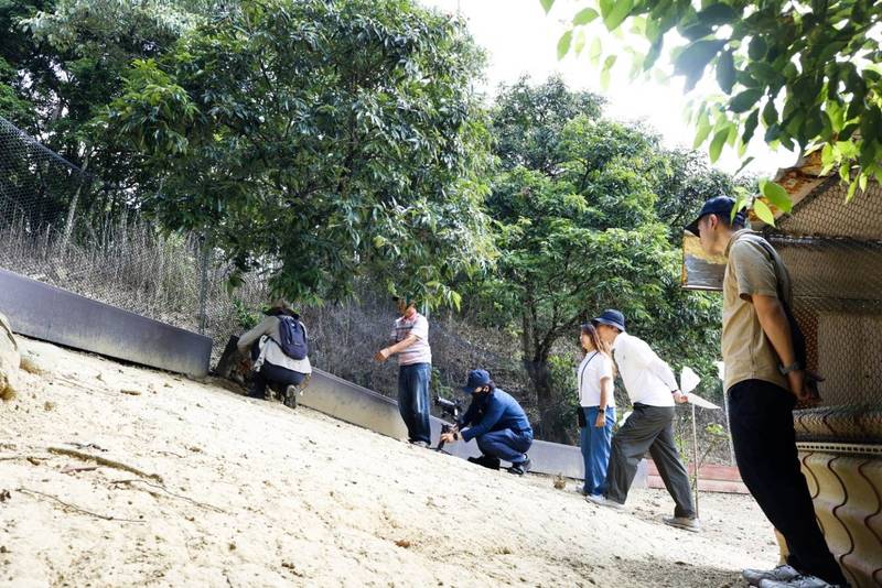 臺灣生態給付登韓國蔚山紀錄片 石虎、諸羅樹蛙保育經驗成跨國借鏡
