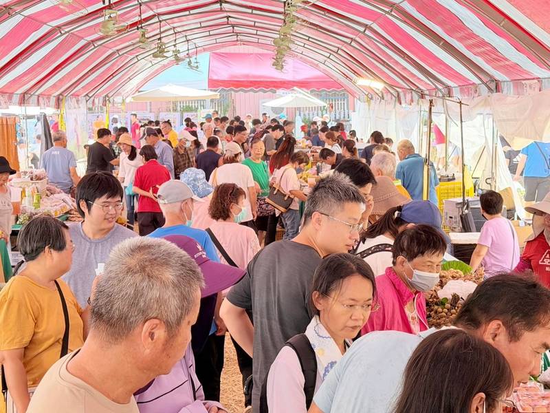 百大青農齊聚番路柿子節，兩天吸引近10萬人次共享秋日好柿
