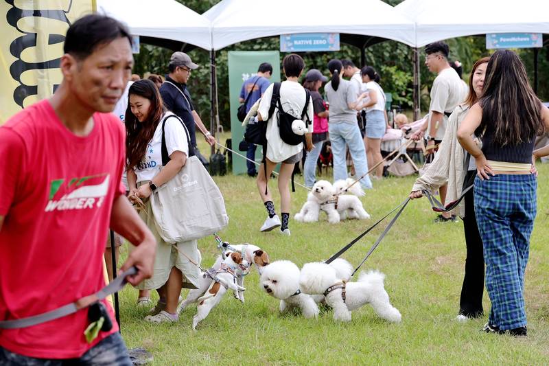 攜手打造動物有愛城市!2026世界狂犬病日「一起生活節」圓滿落幕 展現基隆毛孩活力與堅固防疫網