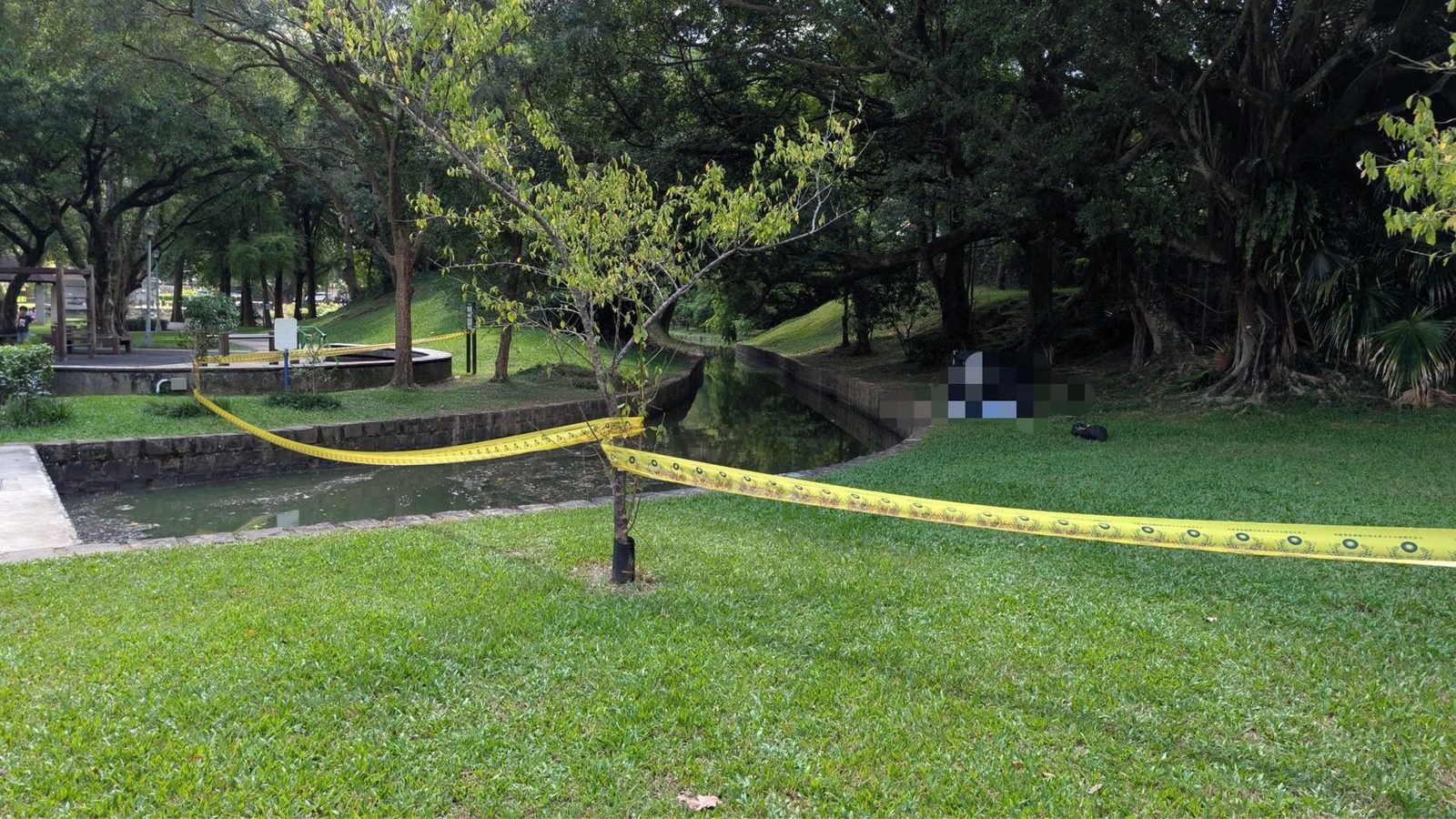 有關大湖公園死亡案
