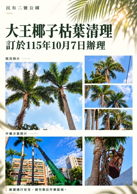 民有二號公園大王椰子枯葉清理 10月7日辦理高空作業