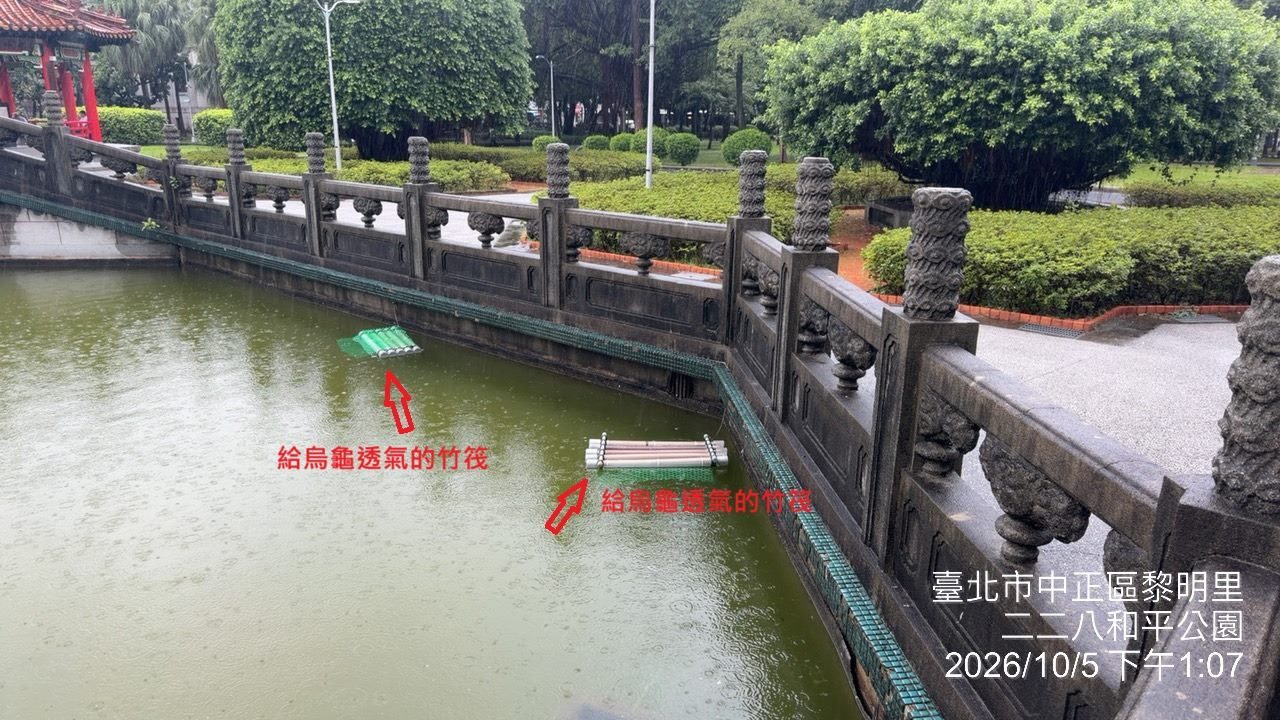 228公園水池每日清潔池面垃圾 公園處駁斥:昨日立即複查 並無網路照片之漂浮垃圾