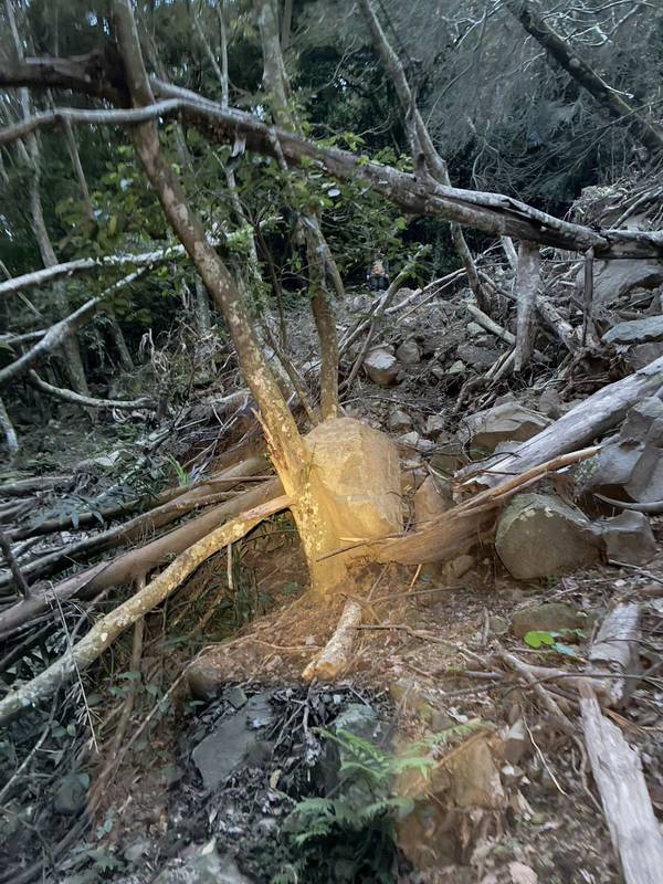 冬瓜山迷途救援
