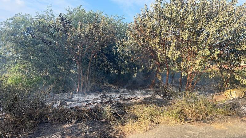 後龍空地雜草火警 消防迅速出水搶救交接台電封路
