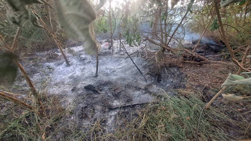 後龍空地雜草火警 消防迅速出水搶救交接台電封路
