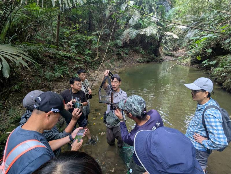 林業署新竹分署走讀中盛野溪 體驗成為一日溪流野生動物