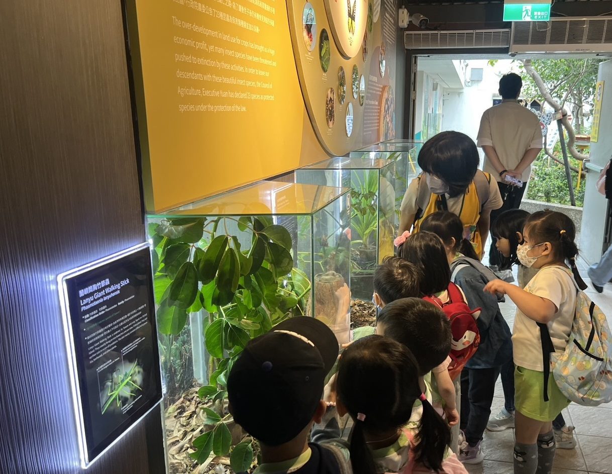 文山幼兒園-探索昆蟲,不分性別!文山幼兒園響應臺灣女孩日!日常晨會札根性平,攜手動物園玩桌遊!