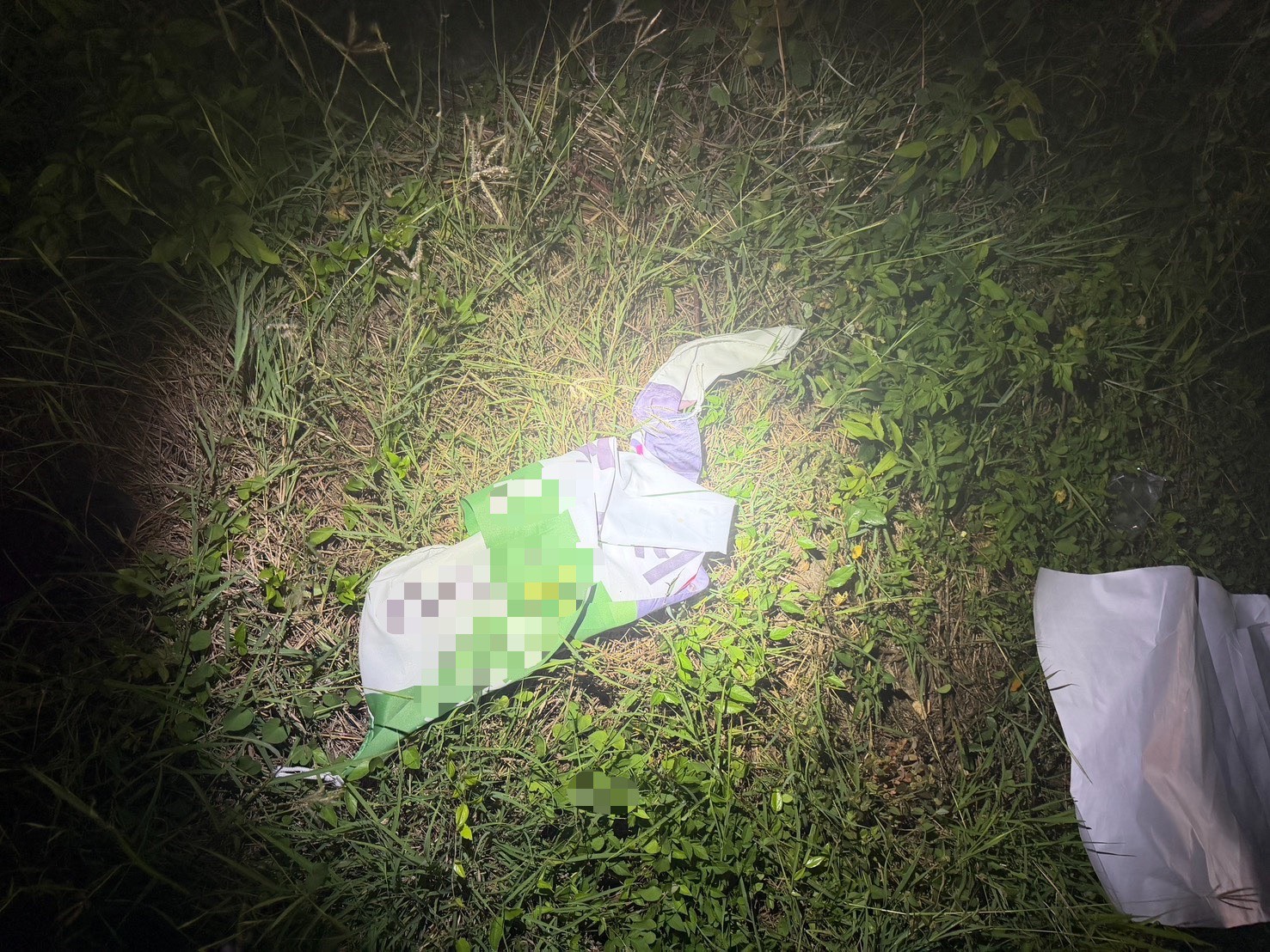 遭毀損的選舉布條棄置草地