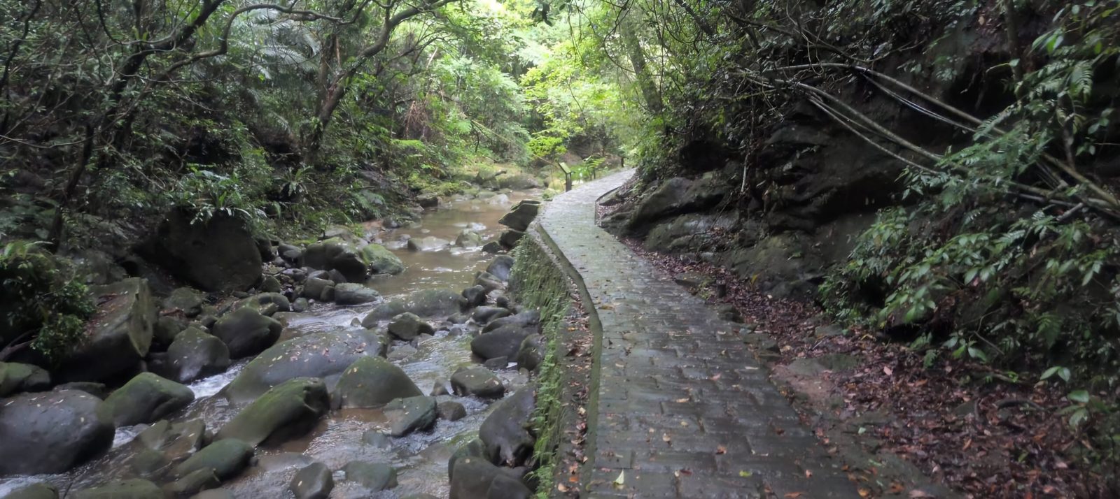 大溝溪畔聽秋語 忠勇山頭賞秋光