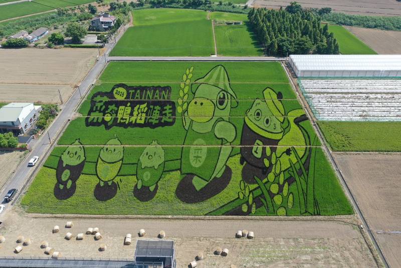 2026臺南好米季「菜奇鴨稻陣走」熱鬧登場