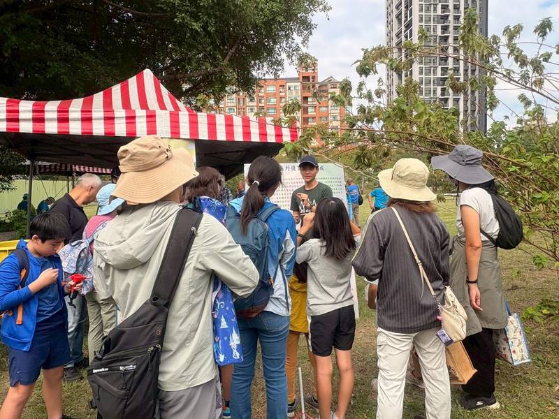 竹縣槲櫟保育闖關活動報名開跑! 邀請大小朋友一起動手認識瀕危植物