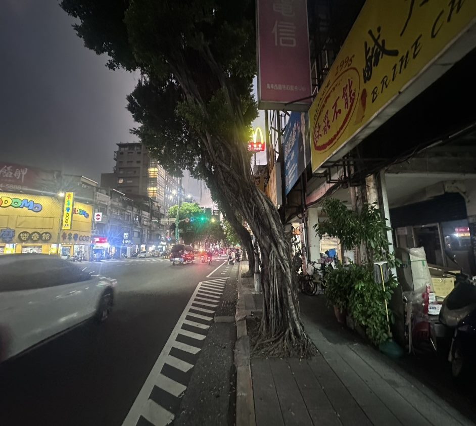 西園路二段226號榕樹遭多次撞擊裂傷 參酌民意仍在評估 並未移除