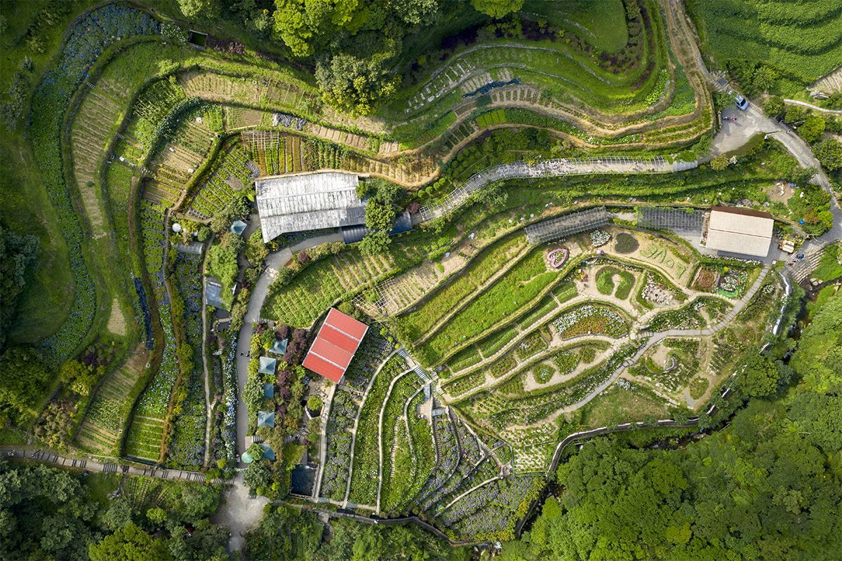 循著水聲走進山間田園 竹子湖溪畔步道邀您漫遊