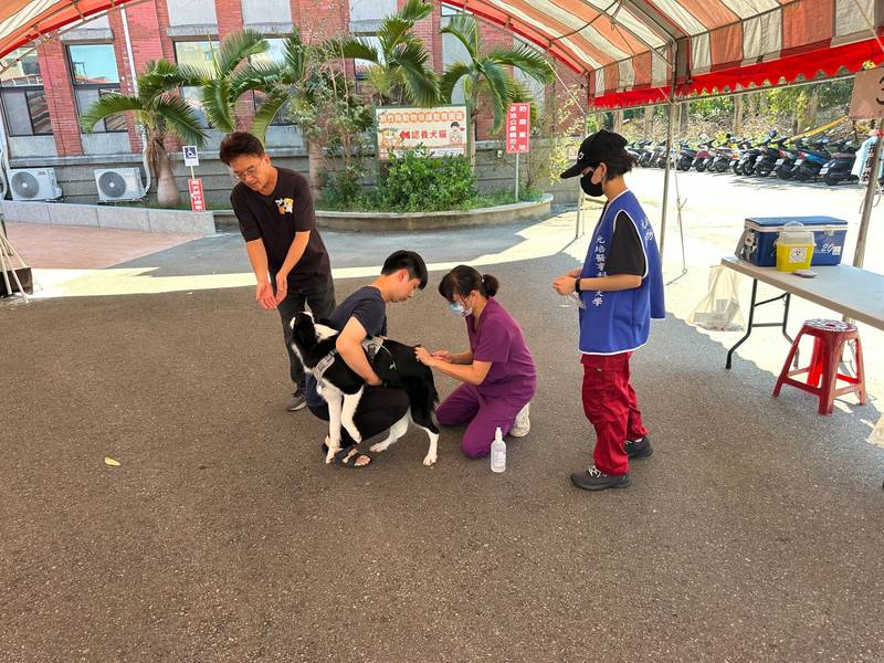 雙十國慶也要照顧毛小孩  竹縣防範狂犬病「毛齊來打」好熱鬧
