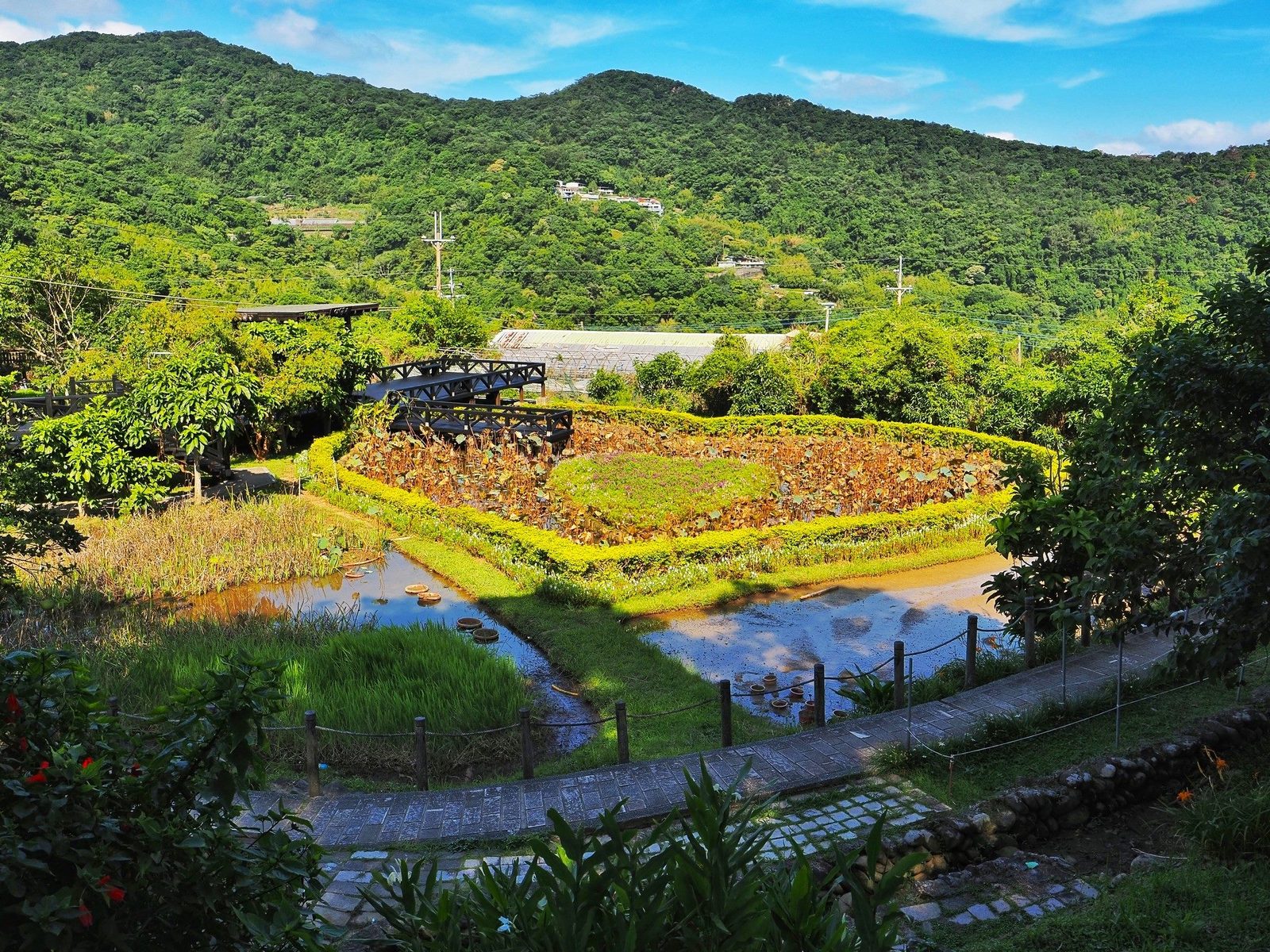 臺北秋遊首選！走讀碧山露營場串聯山林美景