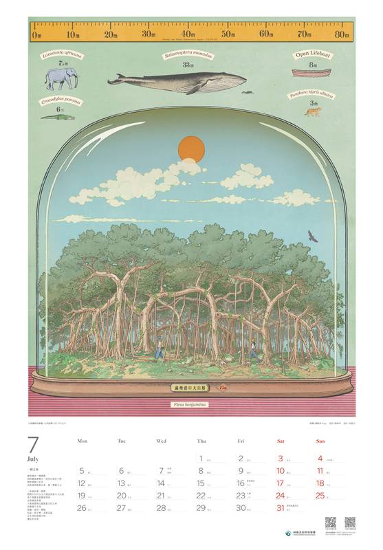 臺灣森林植物之最 林業保育署2027月曆《非常之森》即日起預購