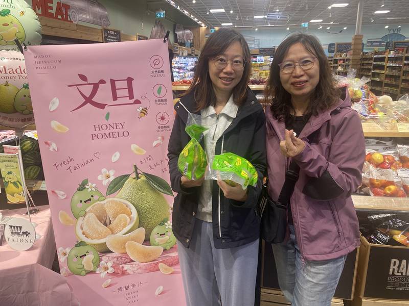 臺南麻豆文旦大果銷售熱 直擊加拿大超市買氣熱絡 試吃好評不斷