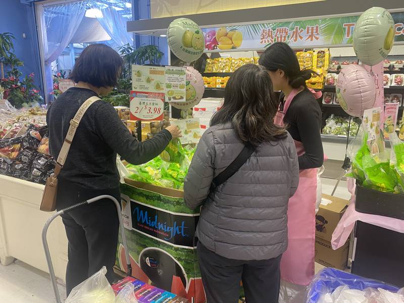 臺南麻豆文旦大果銷售熱 直擊加拿大超市買氣熱絡 試吃好評不斷