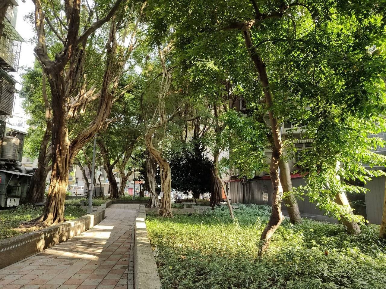 水路變綠路 厚生廣場串起綠蔭廊道 回放老信義生活風景