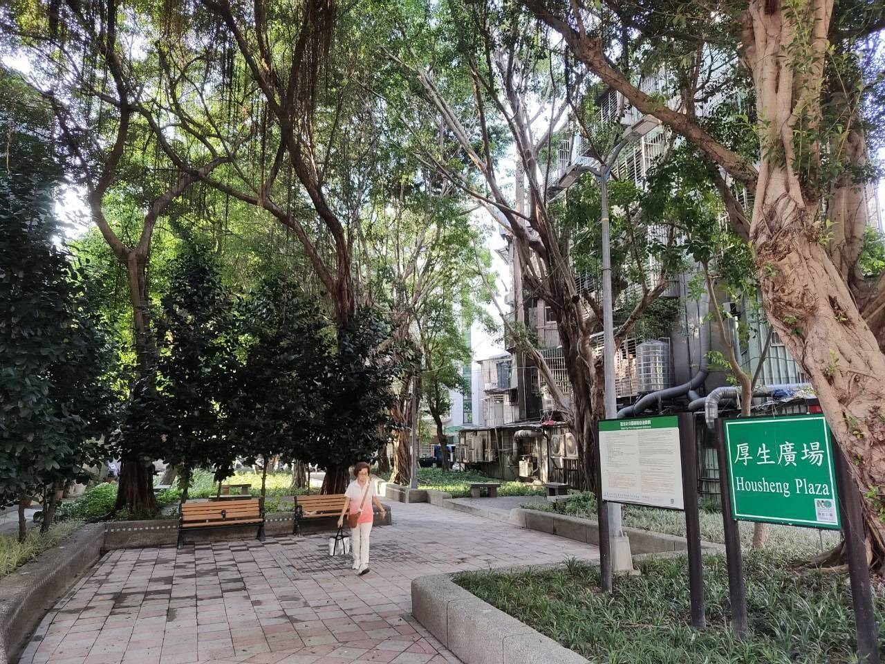 水路變綠路 厚生廣場串起綠蔭廊道 回放老信義生活風景