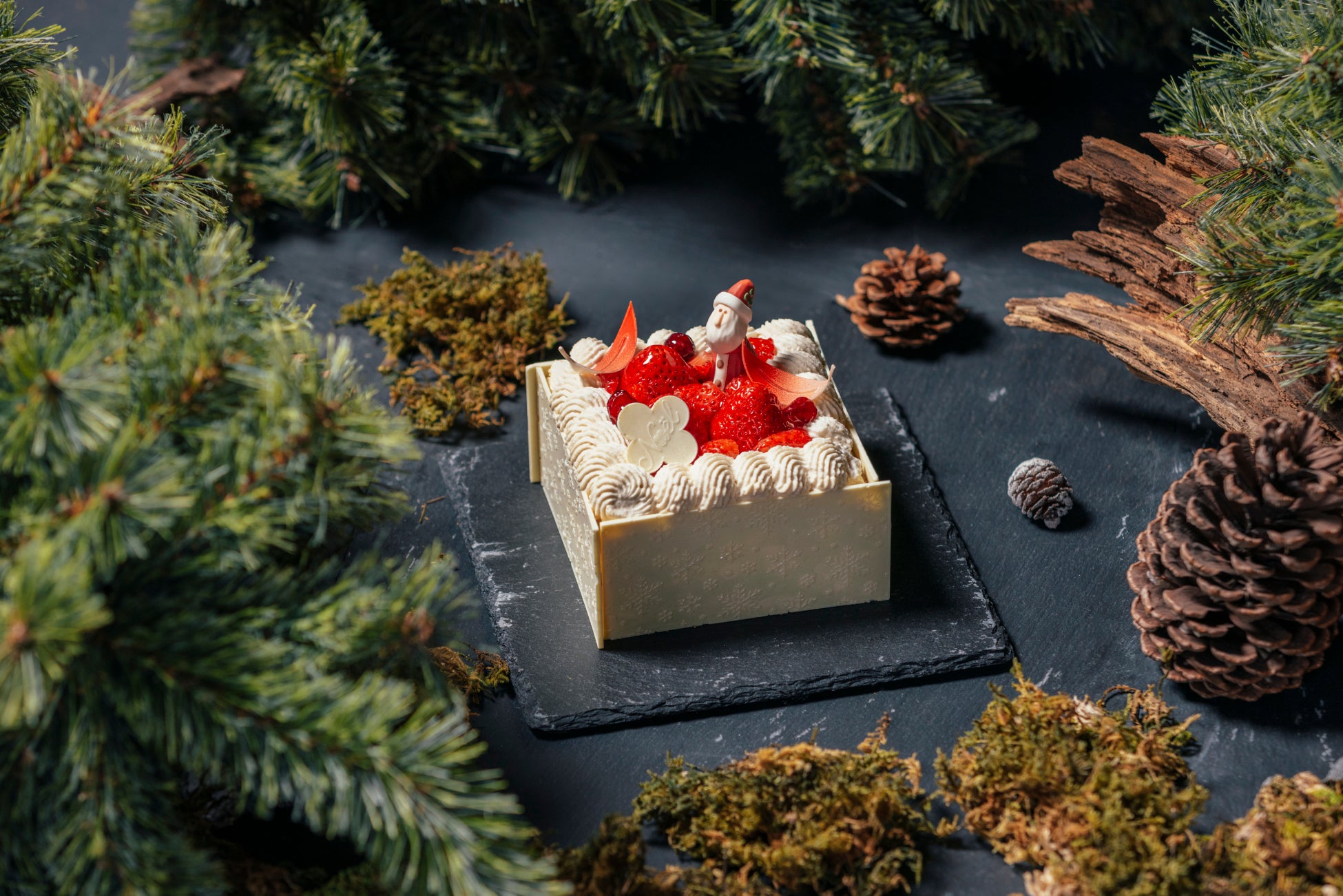 Patina大阪推「冬之森」耶誕新年活動 耶誕蛋糕、下午茶與聖誕晚餐登場