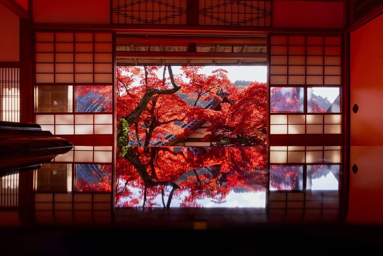 京都柳谷觀音「紅葉週2026」11月14日登場 可帶寵物參拜、人氣御朱印帳復刻