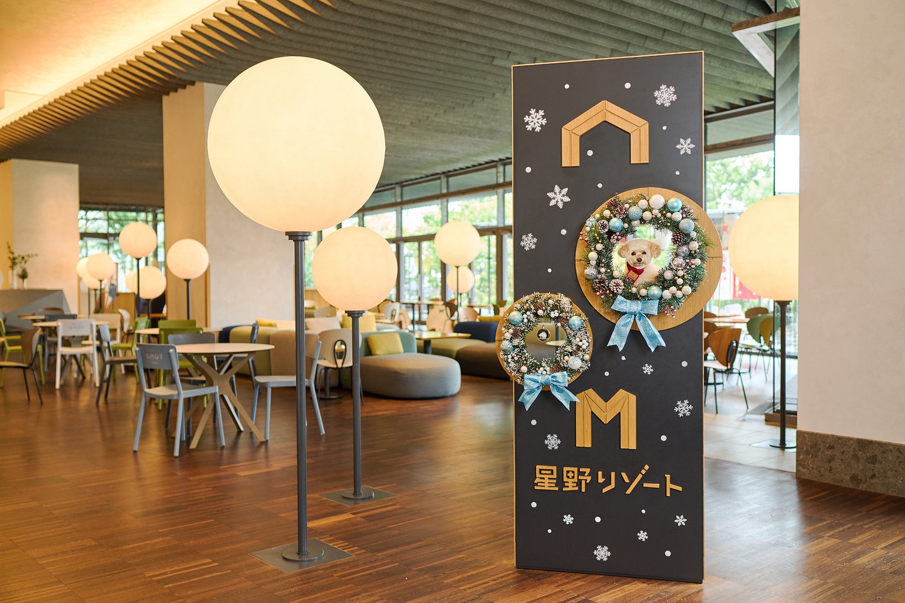星野OMO推冬季「愛犬城市旅宣言」 橫濱、五反田、大阪3館帶狗住最高7折